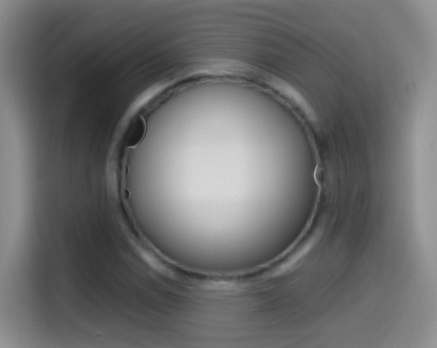 X0000114661114200910201015