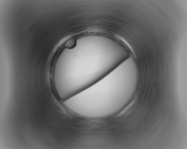X0000114661115200910201015
