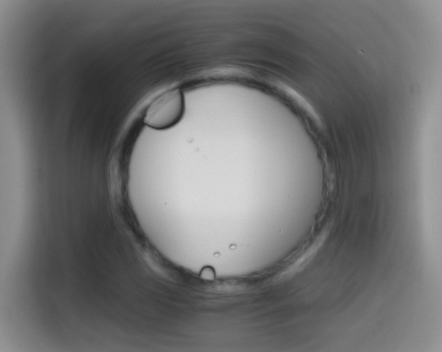 X0000114661117200910201015