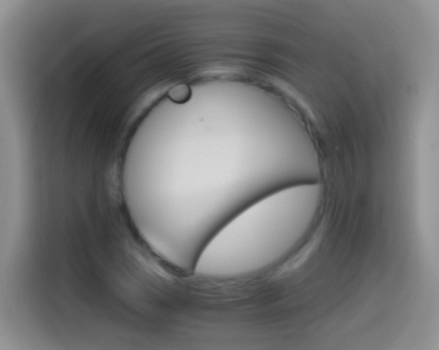 X0000114661121200910201015