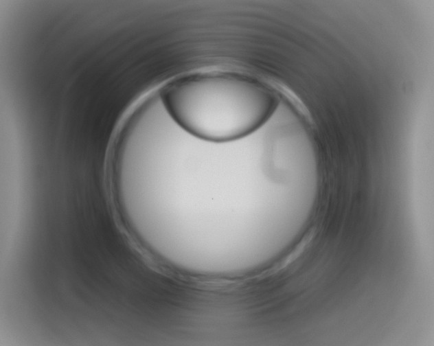 X0000114661122200910201015