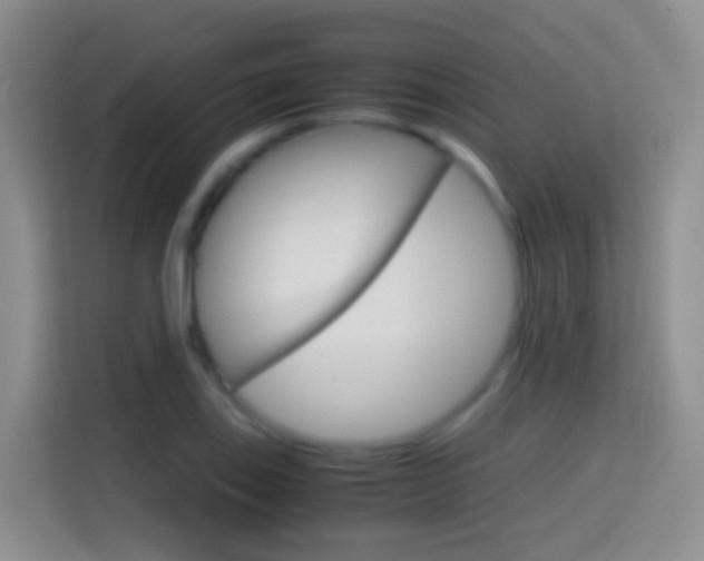 X0000114661123200910201015