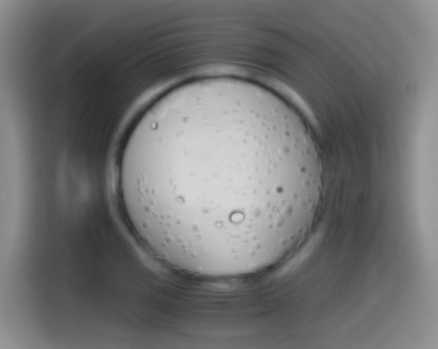 X0000114661125200910201015