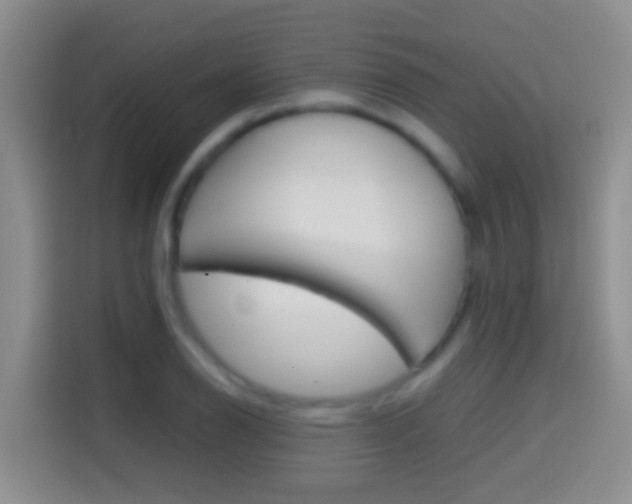 X0000114661126200910201015