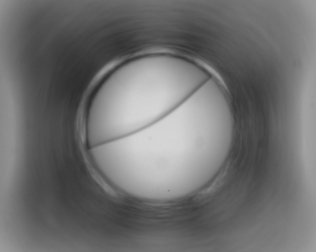 X0000114661127200910201015