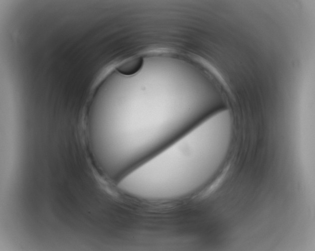 X0000114661129200910201015