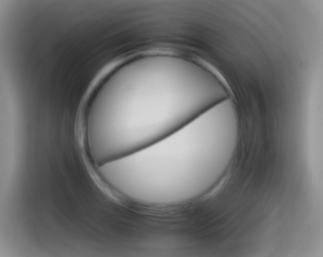 X0000114661131200910201015