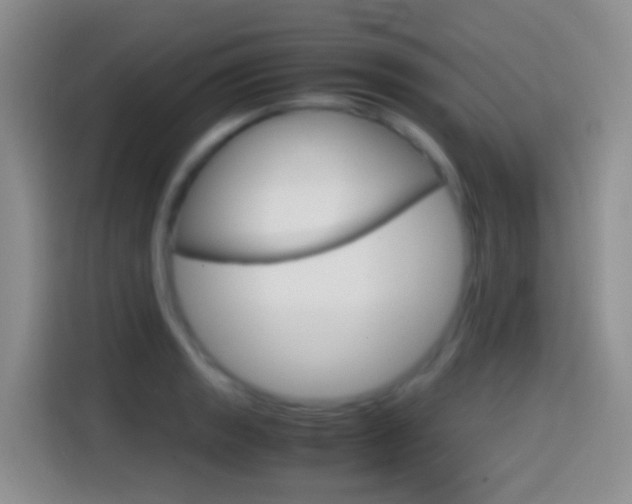 X0000114661133200910201015