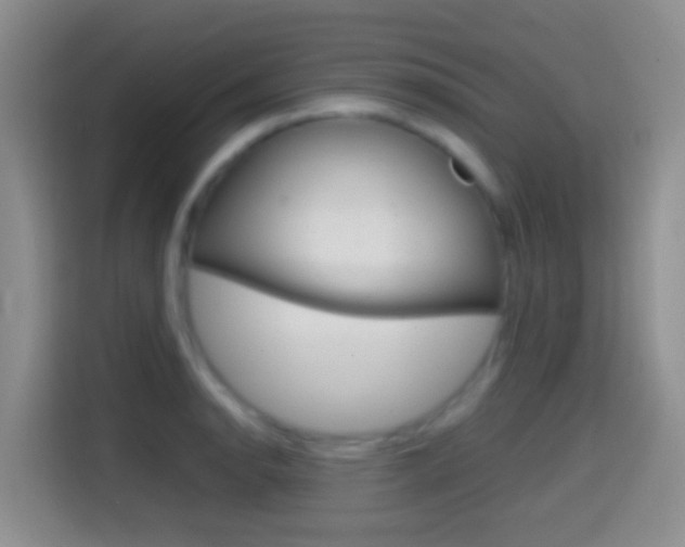 X0000114661134200910201015