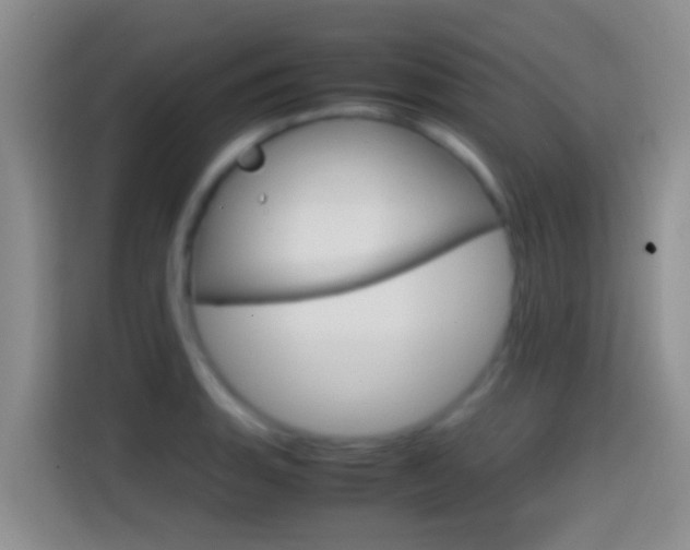 X0000114661135200910201015