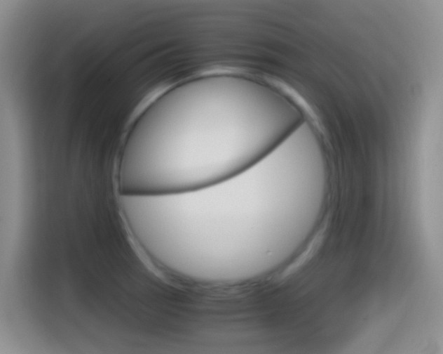 X0000114661137200910201015