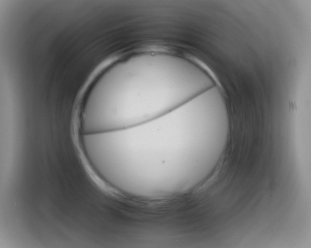 X0000114661139200910201015