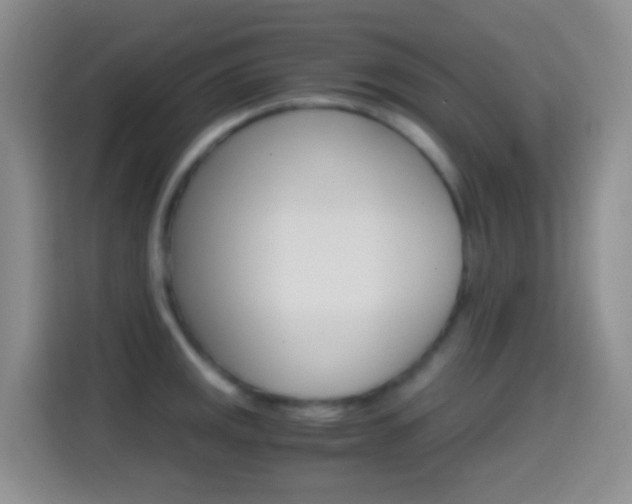 X0000114661141200910201015