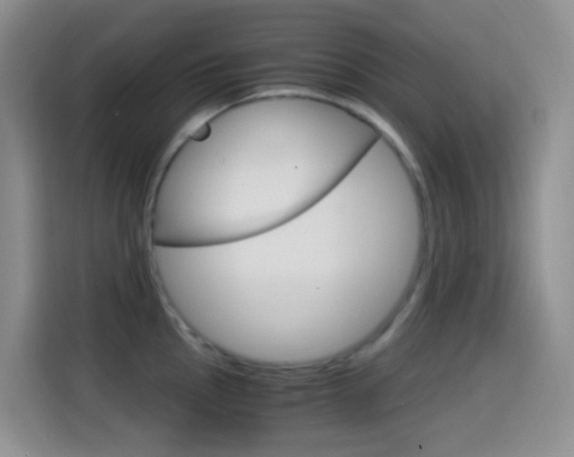 X0000114661145200910201016