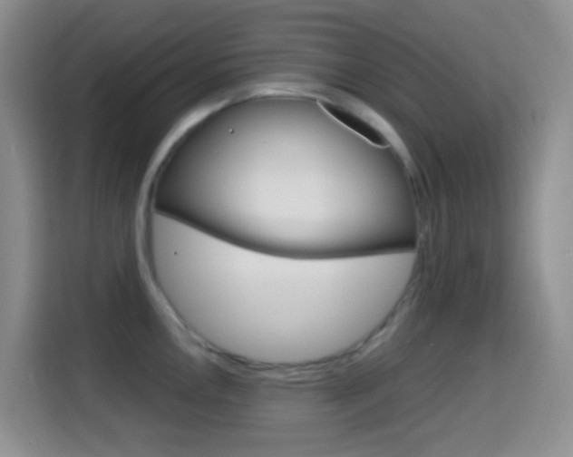 X0000114661146200910201016