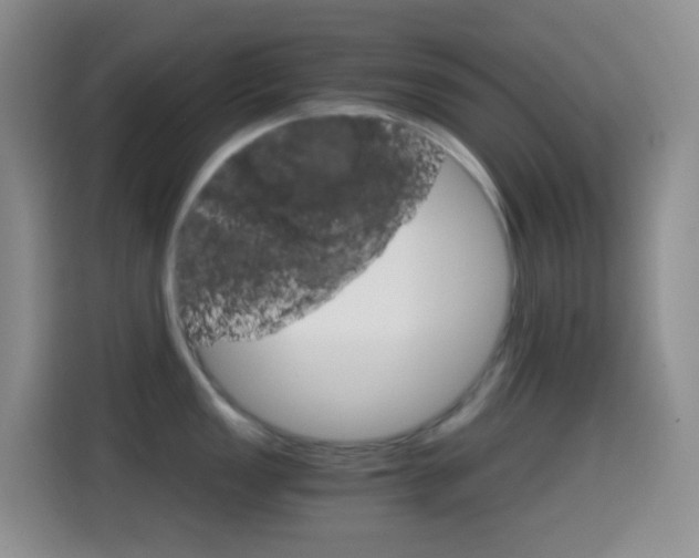 X0000114661149200910201016