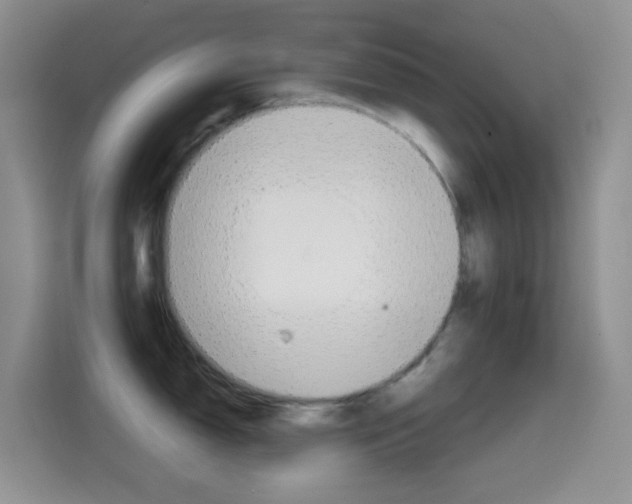 X0000114661150200910201016