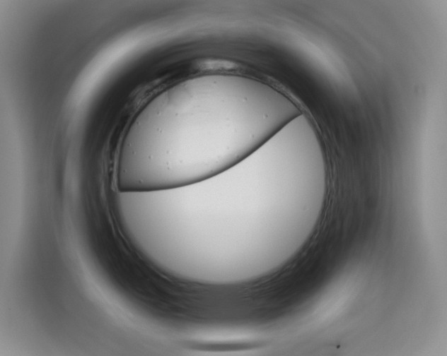 X0000114661151200910201016
