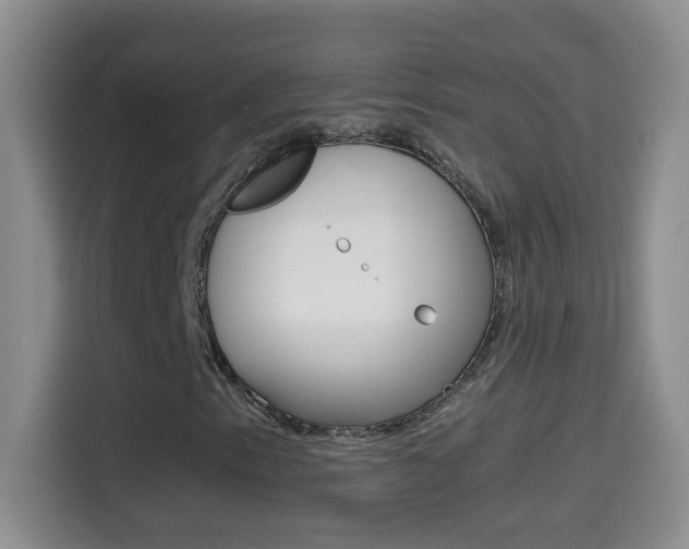 X0000114661153200910201015