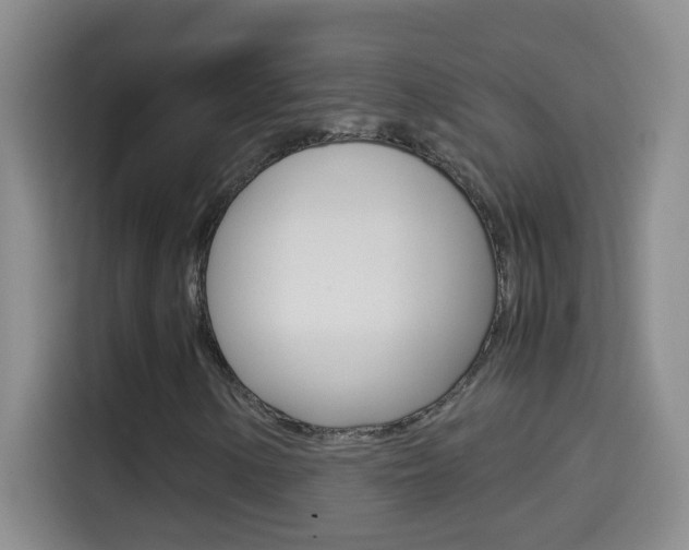 X0000114661154200910201015