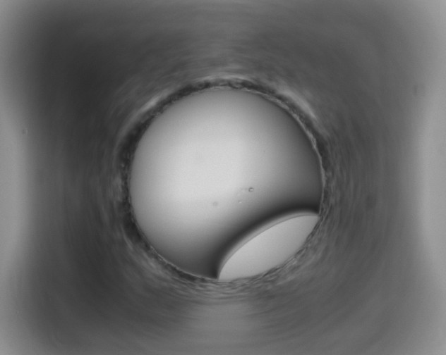 X0000114661159200910201015