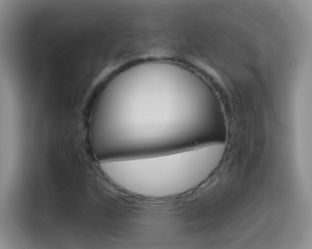 X0000114661160200910201015