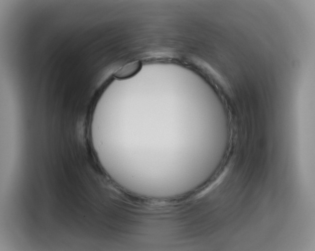 X0000114661162200910201015