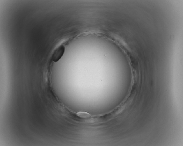 X0000114661165200910201015