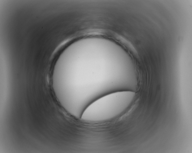 X0000114661166200910201015