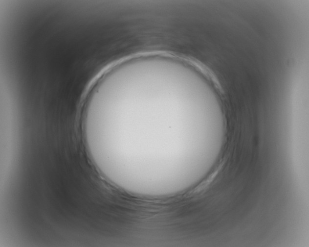 X0000114661167200910201015
