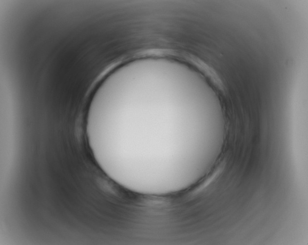 X0000114661170200910201015