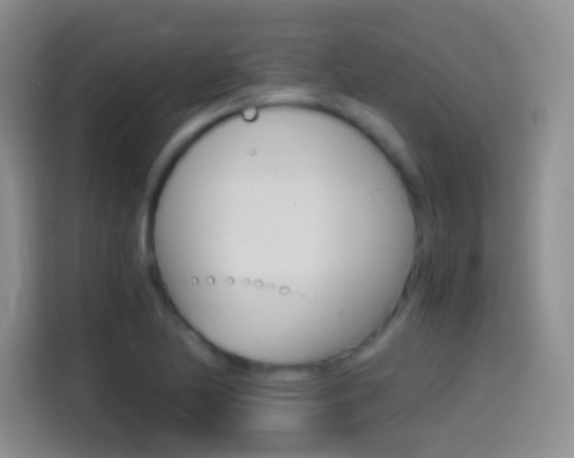 X0000114661174200910201015