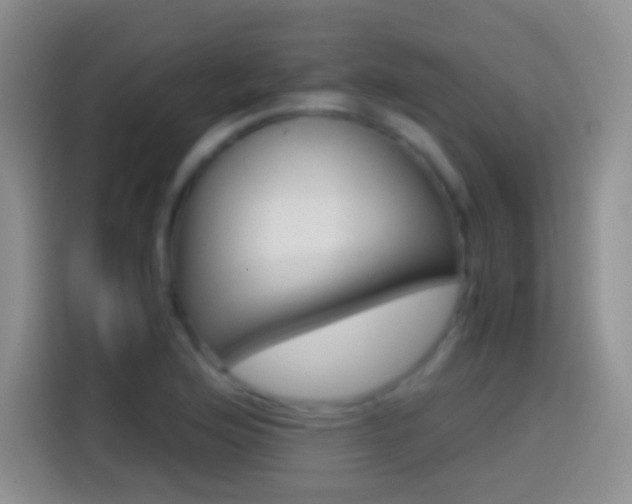 X0000114661176200910201015