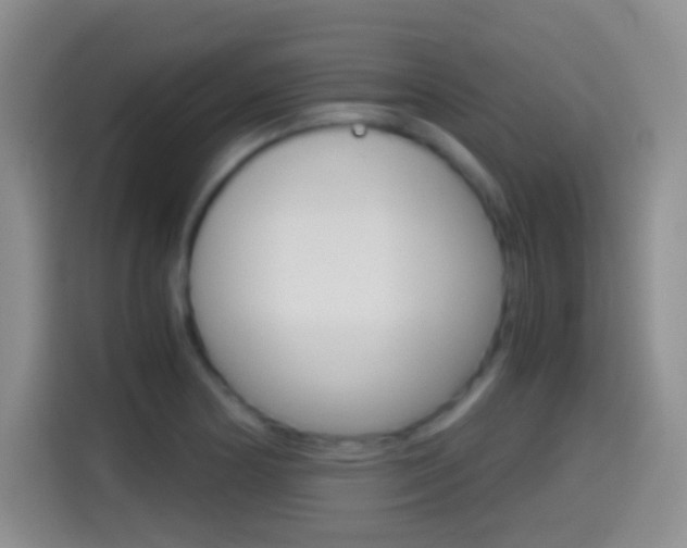 X0000114661178200910201015