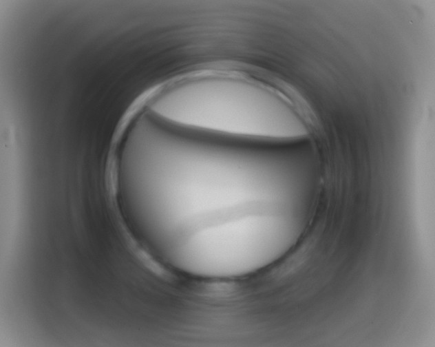X0000114661180200910201015
