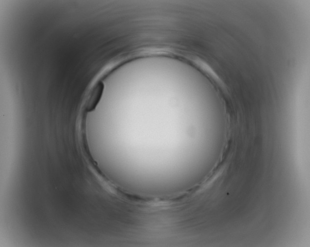 X0000114661181200910201015