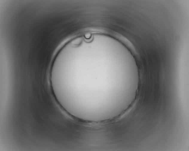 X0000114661182200910201015