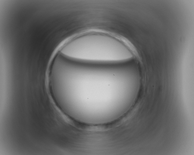 X0000114661183200910201015