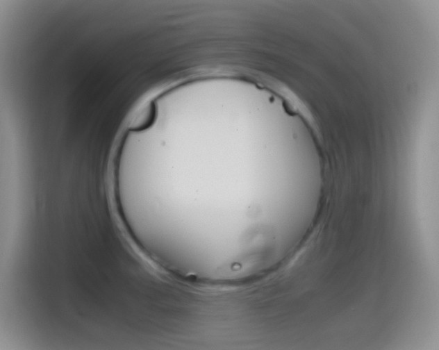 X0000114661187200910201015