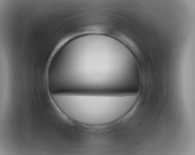 X0000114661192200910201014