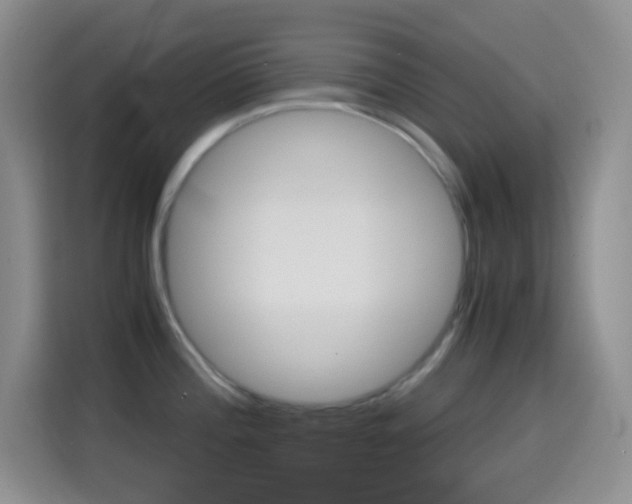 X0000114661196200910201014