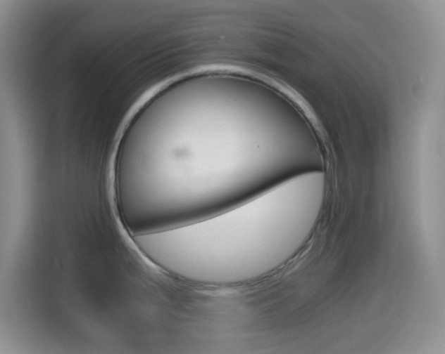 X0000114661199200910201014