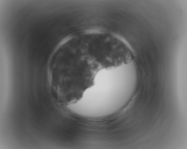 X0000114661219200910201014