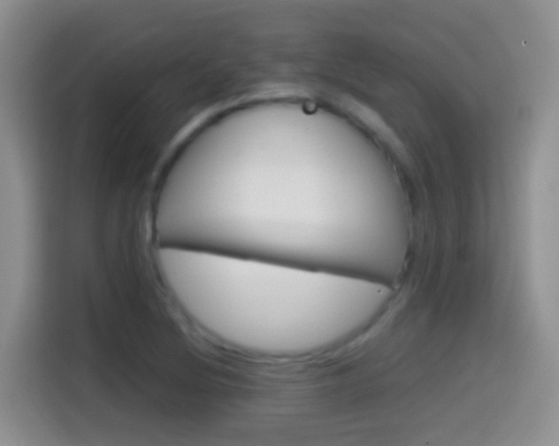 X0000114661220200910201014