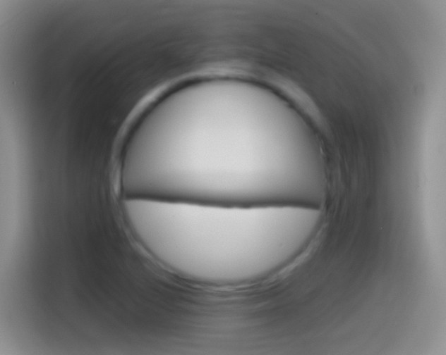 X0000114661224200910201014