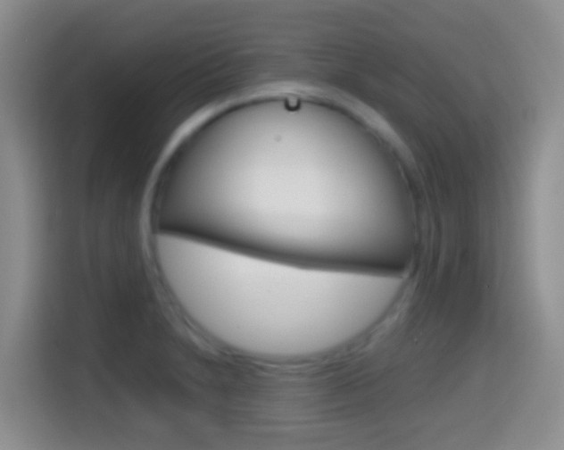 X0000114661230200910201014