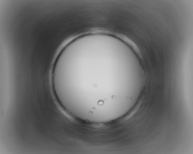 X0000114661231200910201014