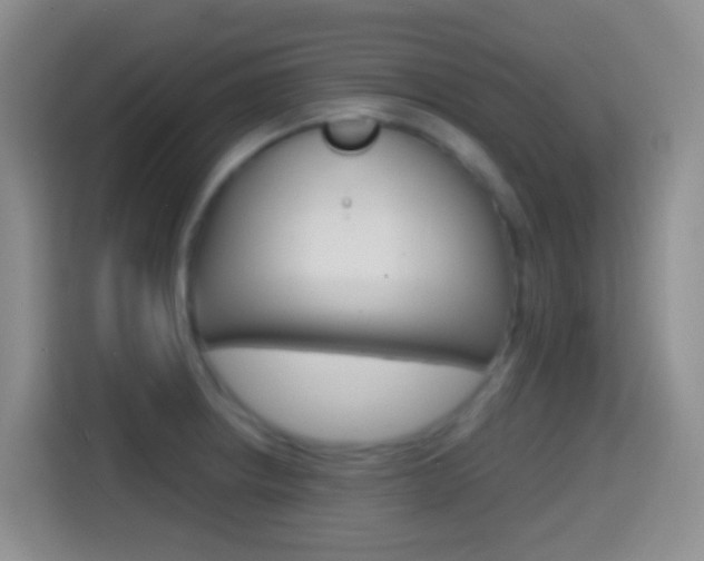 X0000114661234200910201014