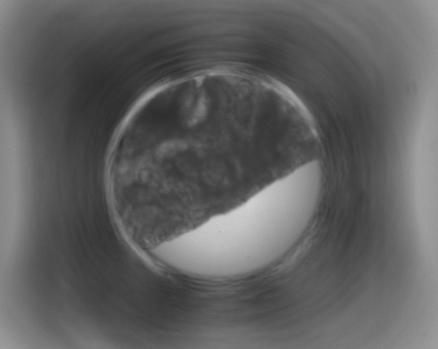 X0000114661235200910201014