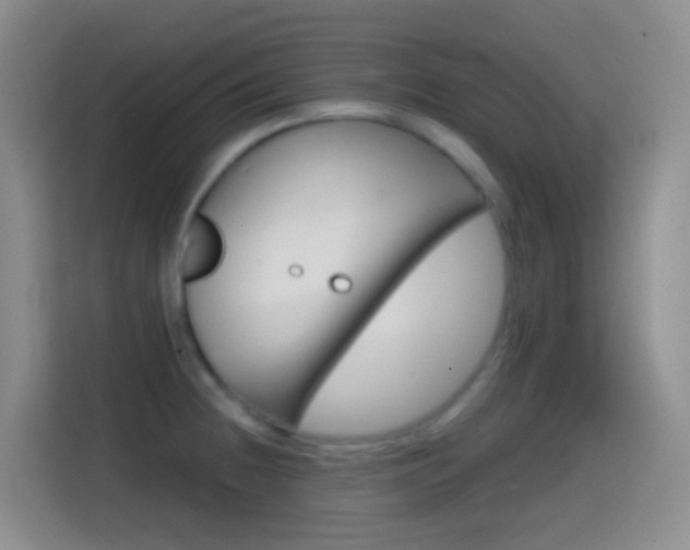 X0000114661236200910201014
